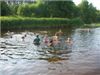Image043