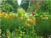 Image046