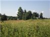 Image042